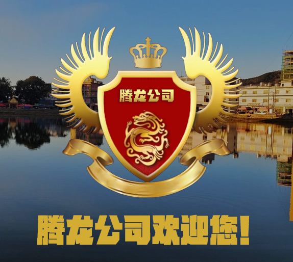关于腾龙游戏有限公司